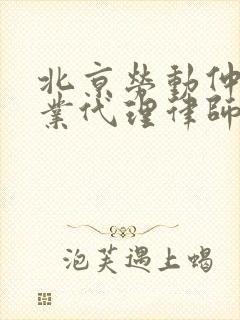 北京劳动仲裁专业代理律师