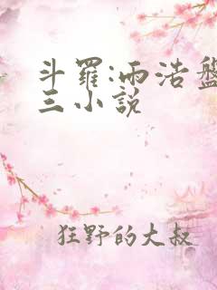 斗罗:雨浩盘唐三小说