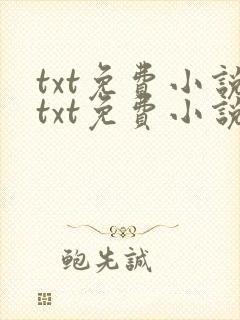 txt免费小说txt免费小说阅读器