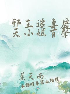 邪王追妻废材逆天小姐有声书