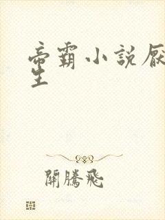 帝霸小说厌笔萧生