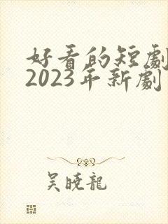 好看的短剧推荐2023年新剧