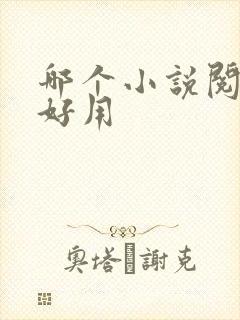 哪个小说阅读器好用