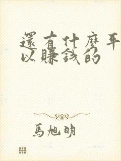 还有什么平台可以赚钱的