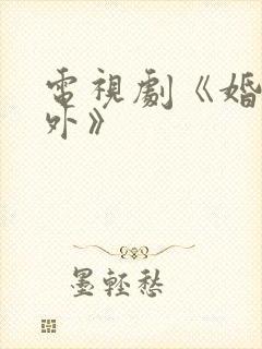 电视剧《婚里婚外》