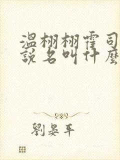 温栩栩霍司爵小说名叫什么