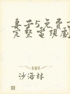 妻子5免费高清完整电视剧