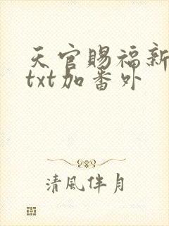 天官赐福新修版txt加番外