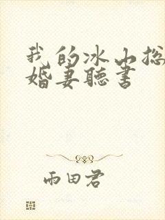 我的冰山总裁未婚妻听书