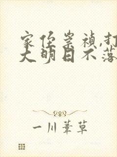 家侄崇祯,打造大明日不落 有声小说小说