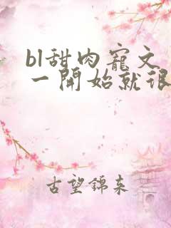 bl甜肉宠文 一开始就很宠