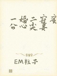 一婚二宠蜜制老公心尖妻