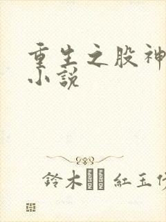 重生之股神大亨小说