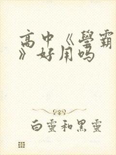 高中《学霸笔记》好用吗