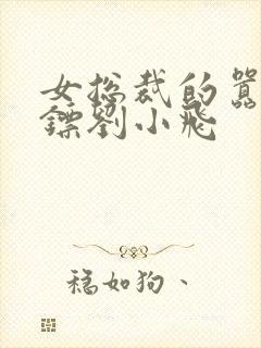 女总裁的嚣张保镖刘小飞