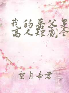 我的岳父是隐藏高人短剧全集免费版