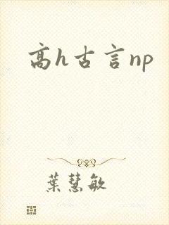 高h古言np