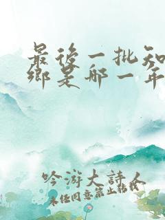 最后一批知青下乡是哪一年