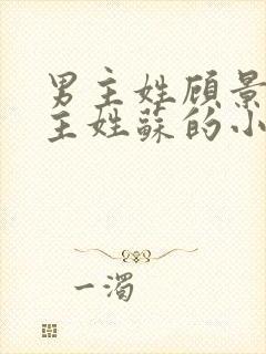 男主姓顾景琛女主姓苏的小说