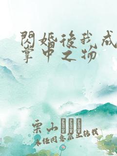 闪婚后我成大佬掌中之物