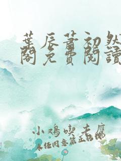 叶辰萧初然笔趣阁免费阅读无弹窗