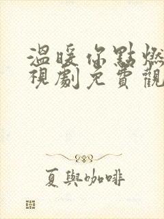 温暖你点燃我电视剧免费观看全集