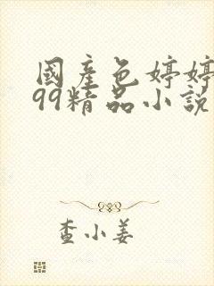 国产色婷婷亚洲99精品小说