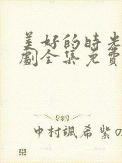 美好的时光电视剧全集免费观看