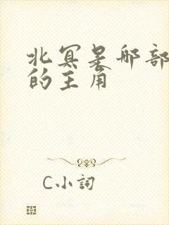 北冥是哪部小说的主角