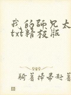 我的师兄太稳健txt精校版