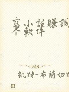 写小说赚钱去哪个软件