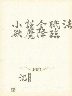 小说全职法师之欲魔降临