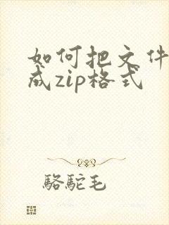 如何把文件压缩成zip格式