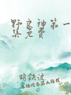 野良神第一季全集免费