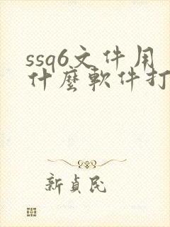 ssq6文件用什么软件打开