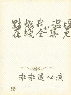 点燃我,温暖你在线全集免费观看电视剧