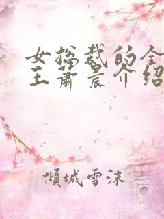 女总裁的全能兵王萧晨介绍