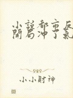 小说都市反派:开局冲了气运女主