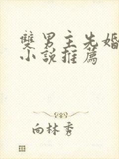 双男主先婚后爱小说推荐