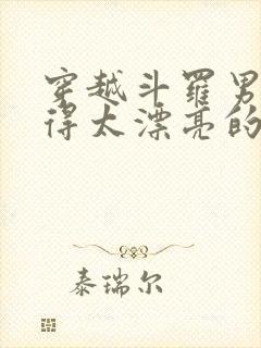 穿越斗罗男主长得太漂亮的小说