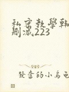 私密教学韩漫无删减223
