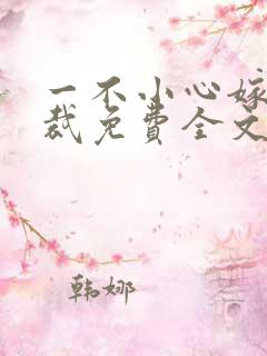 一不小心嫁了总裁免费全文阅读