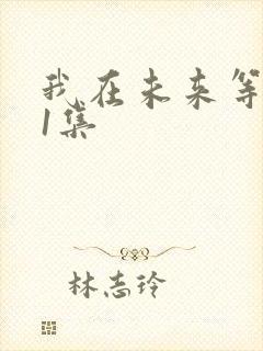 我在未来等你21集