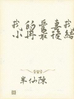 我的爱妻我的父小冉最后结局