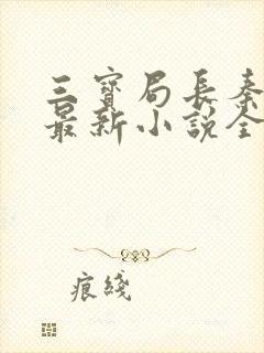 三宝局长秦守仁最新小说全文阅读