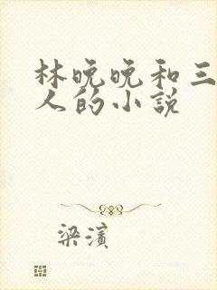 林晚晚和三个军人的小说