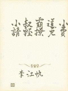 小叔霸道小叔 请轻撩免费漫画