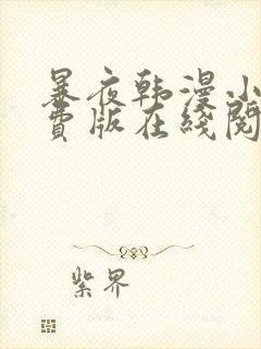 暴夜韩漫小说免费版在线阅读全文