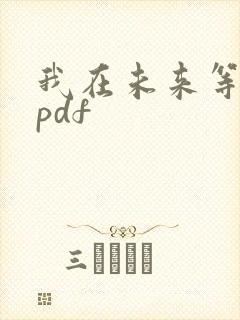 我在未来等你 pdf