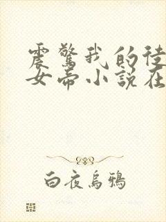 震惊我的徒弟是女帝小说在线